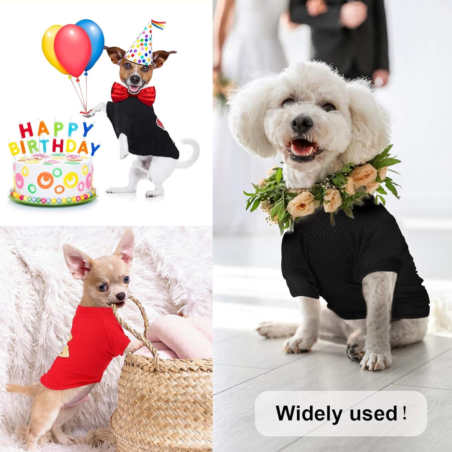 3 Pieces Dog Shirts Pet Shirts Pet Puppy Apparel Sweatshirt Elastic Breathable Dog T-Shirts for Small to Medium Dogs Puppy (M)