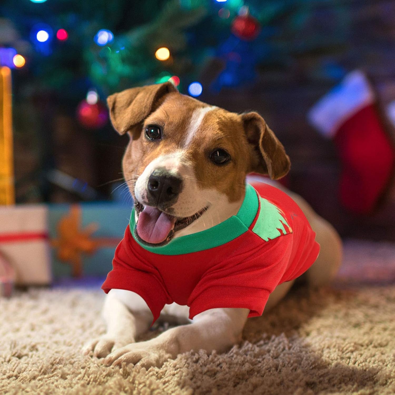 2 Pack Christmas Dog Shirts - Printed Puppy Shirt Pet T-Shirt Cute Dog Clothing for Small Dogs and Cats Christmas Cosplay Pet Apparel L