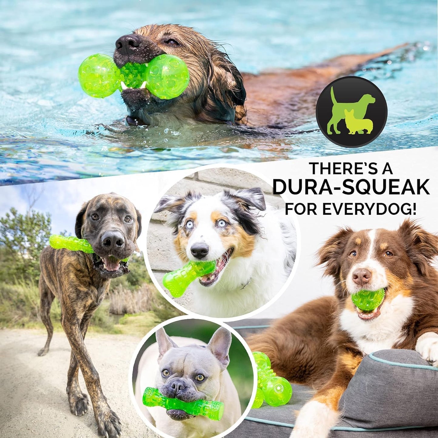 Durasqueak Dog Ball Toy, Interactive, Floats, Squeaks, Dog Balls for Fetching, Alternative to Traditional Tennis Balls - for All Breeds