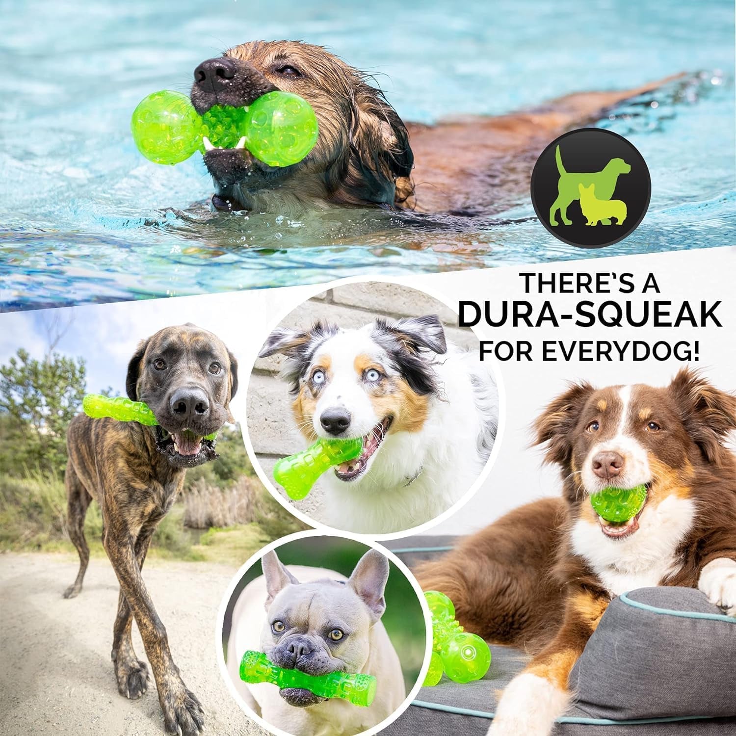 Durasqueak Dog Ball Toy, Interactive, Floats, Squeaks, Dog Balls for Fetching, Alternative to Traditional Tennis Balls - for All Breeds