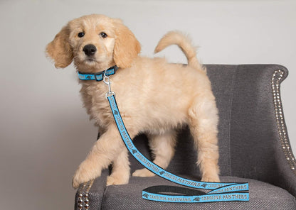 Panthers Leash by