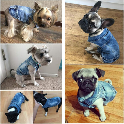 Dog Jean Jacket, Blue Puppy Denim T-Shirt, Machine Washable Dog Clothes, Comfort and Cool Apparel, for Small Medium Dogs Pets and Cats (Small, Blue Type 1)